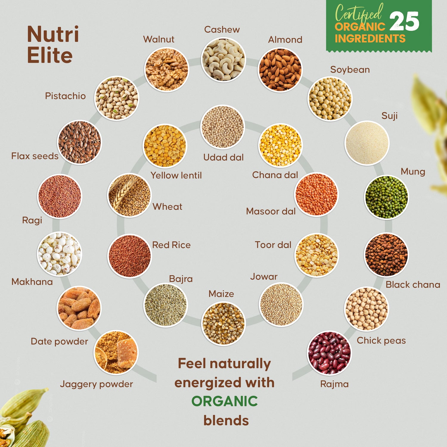 NutriElite Kids Nutrition Powder Cardamom Flavor For Ages 2-13 Years-Grainy Goodness