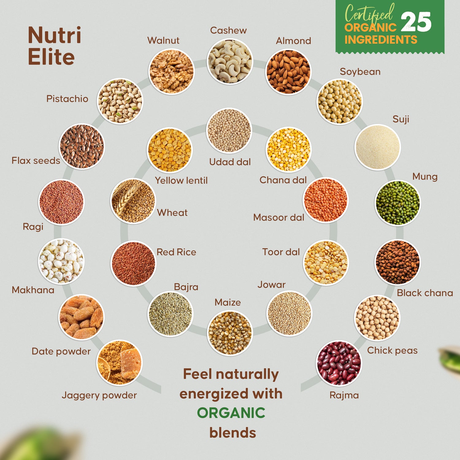NutriElite Kids Nutrition Powder Plain Flavor For Ages 2-13 Years-Grainy Goodness